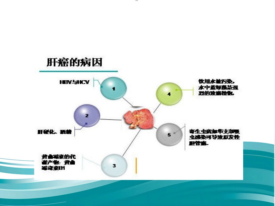肝癌的治疗与护理_第6页