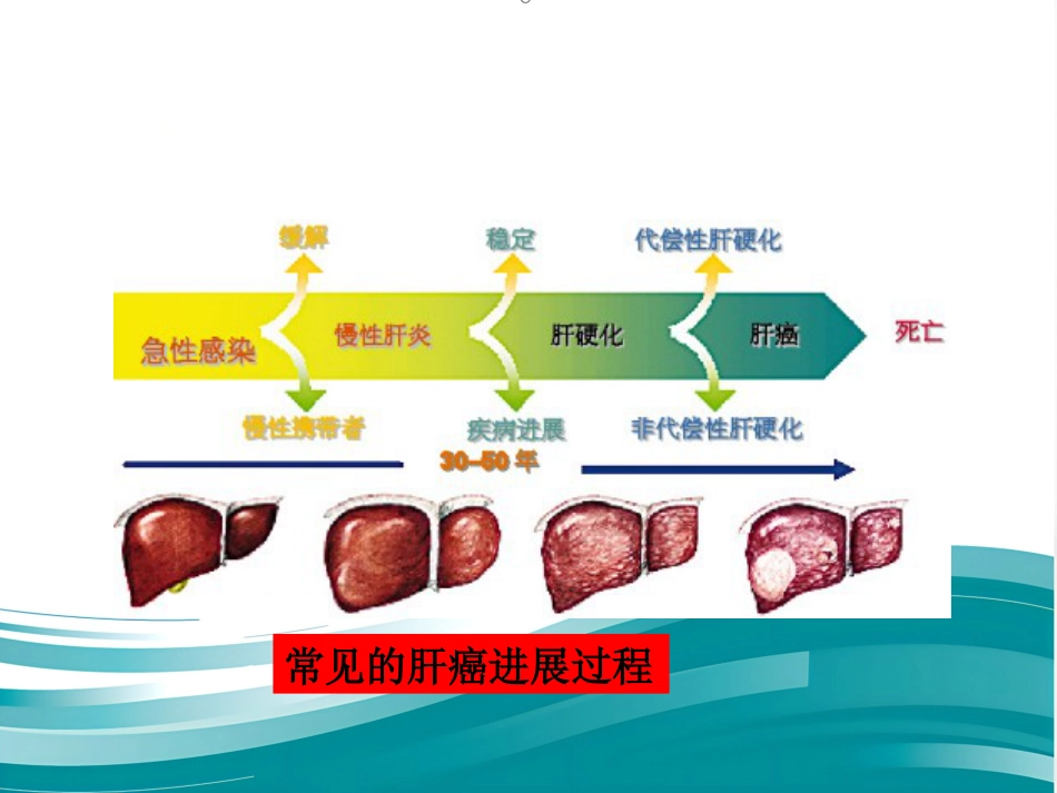 肝癌的治疗与护理_第7页