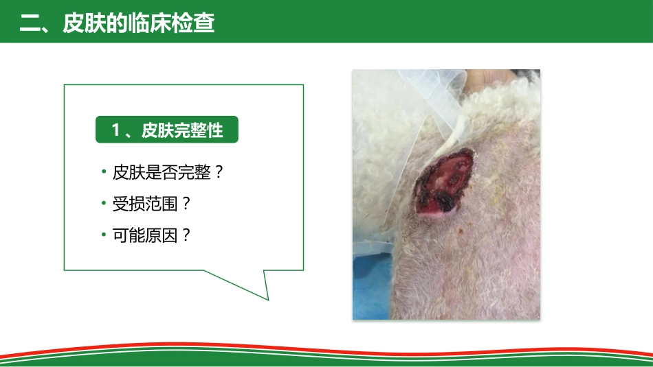 被毛和皮肤的检查_第11页