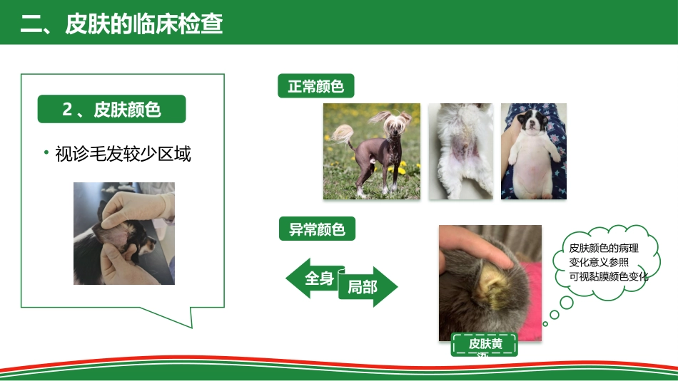 被毛和皮肤的检查_第12页