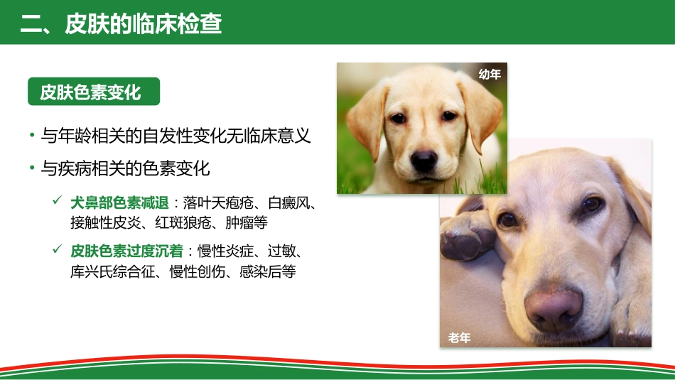被毛和皮肤的检查_第13页