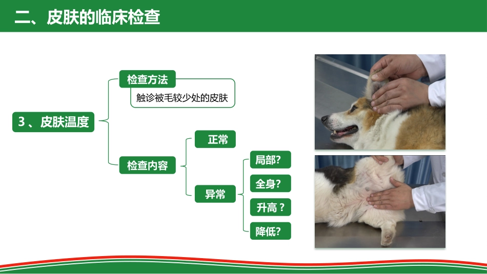 被毛和皮肤的检查_第15页