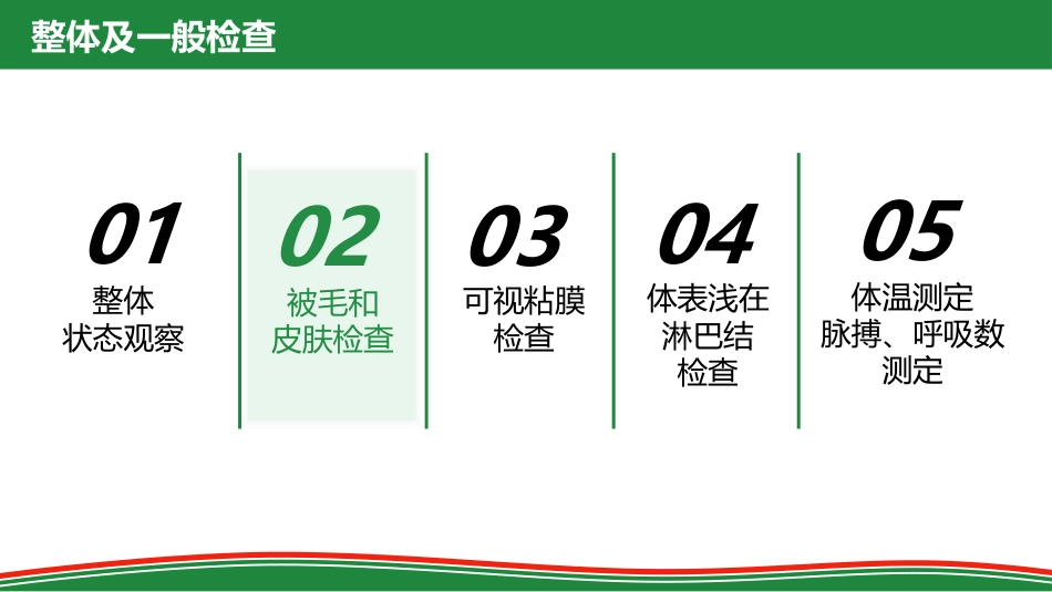 被毛和皮肤的检查_第2页