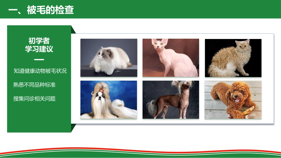 被毛和皮肤的检查_第5页