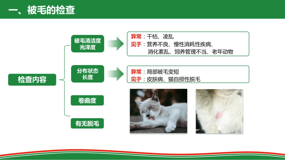 被毛和皮肤的检查_第6页