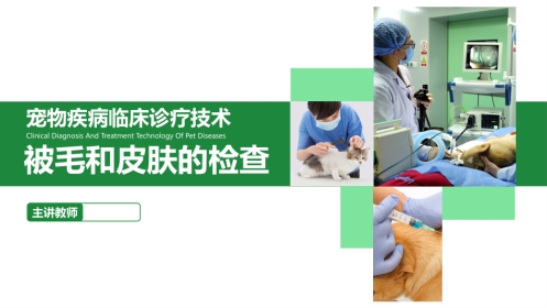 被毛和皮肤的检查