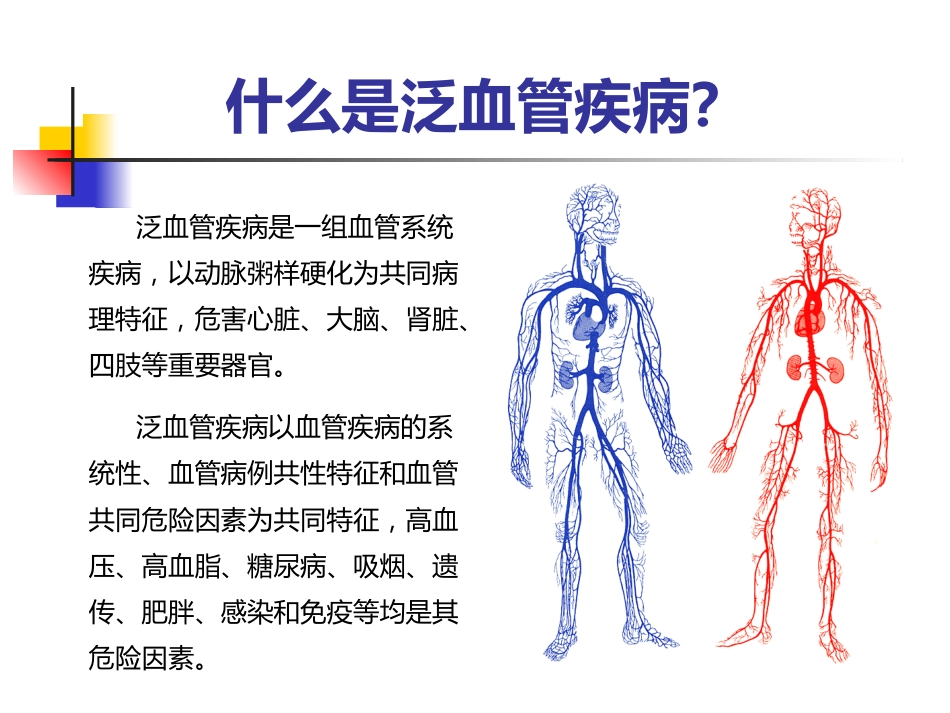 泛血管疾病介入诊疗_第2页