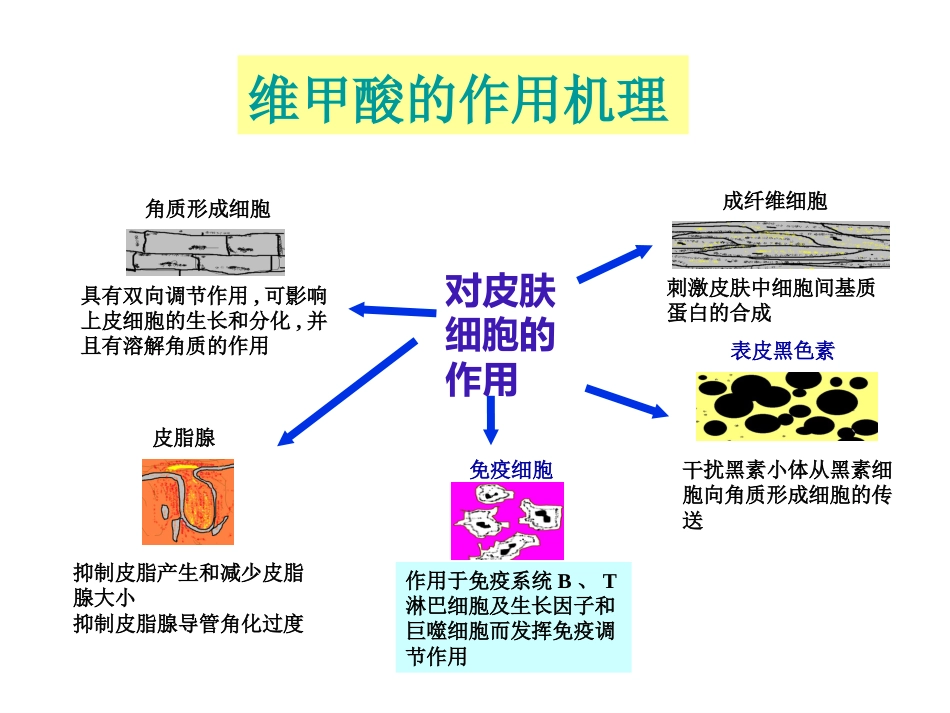 阿维A在皮肤科的应用_第6页