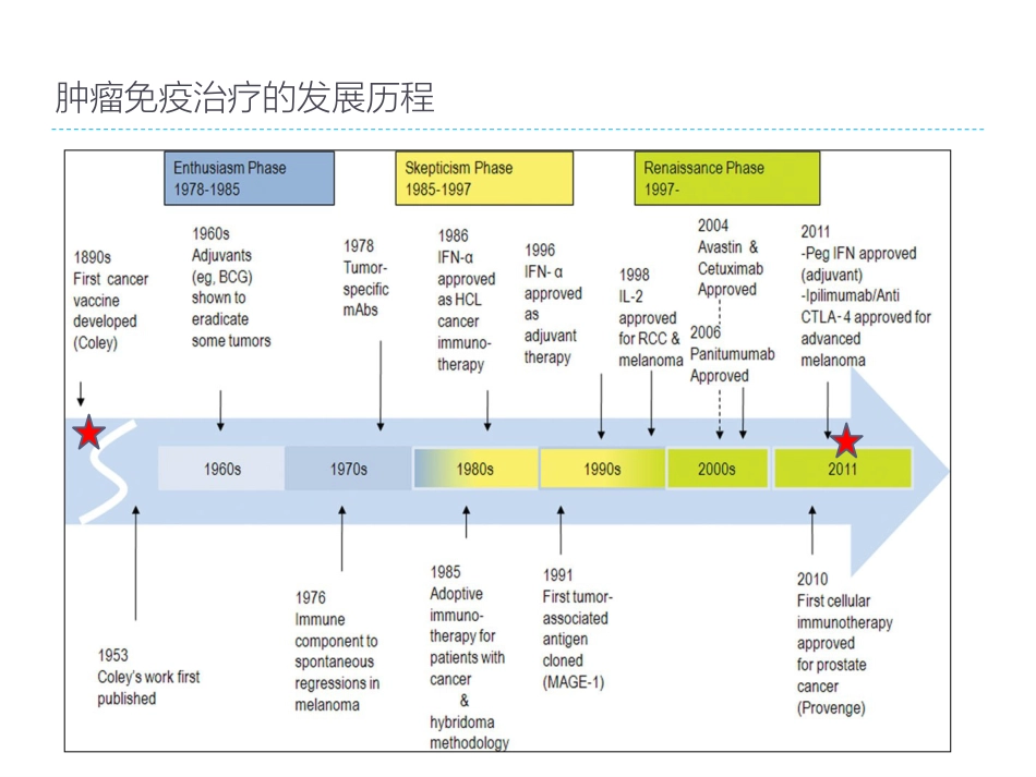 肝癌放射治疗与机体的免疫应答及临床应用前景_第13页