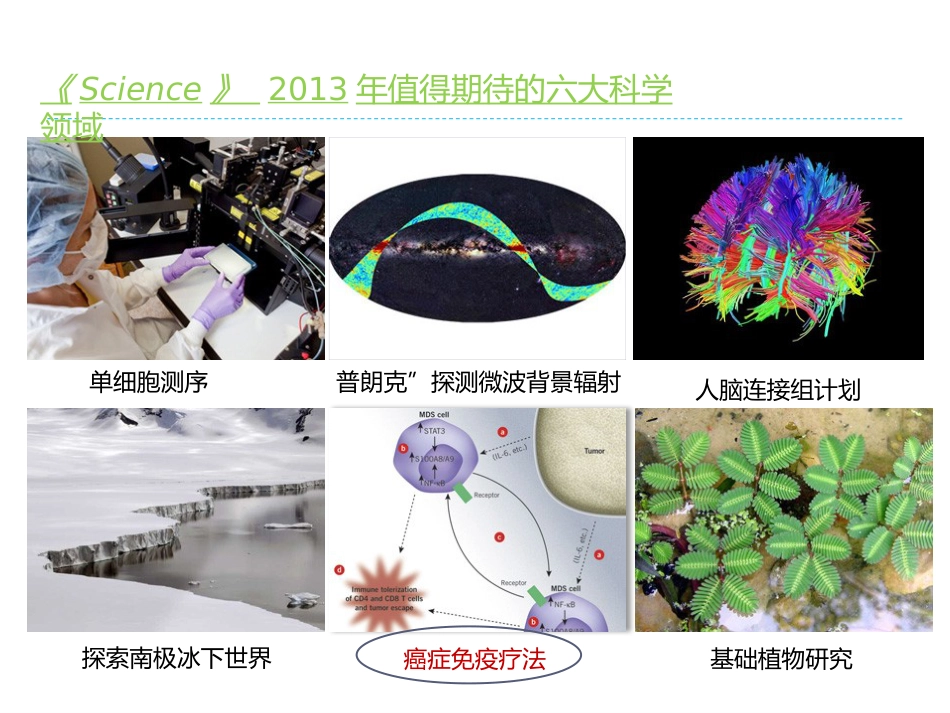 肝癌放射治疗与机体的免疫应答及临床应用前景_第14页