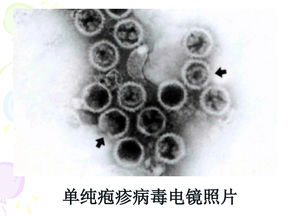 病毒性及细菌性皮肤病_第6页