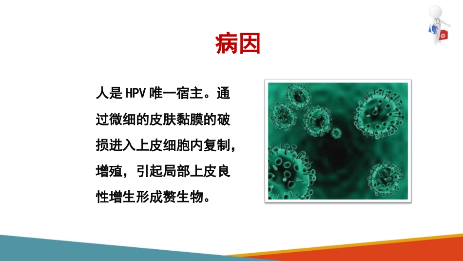 病毒性皮肤病—疣的诊疗(皮肤性病学课件)_第3页