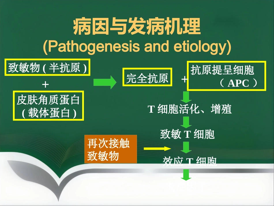 变态反应性皮肤病(1)_第6页