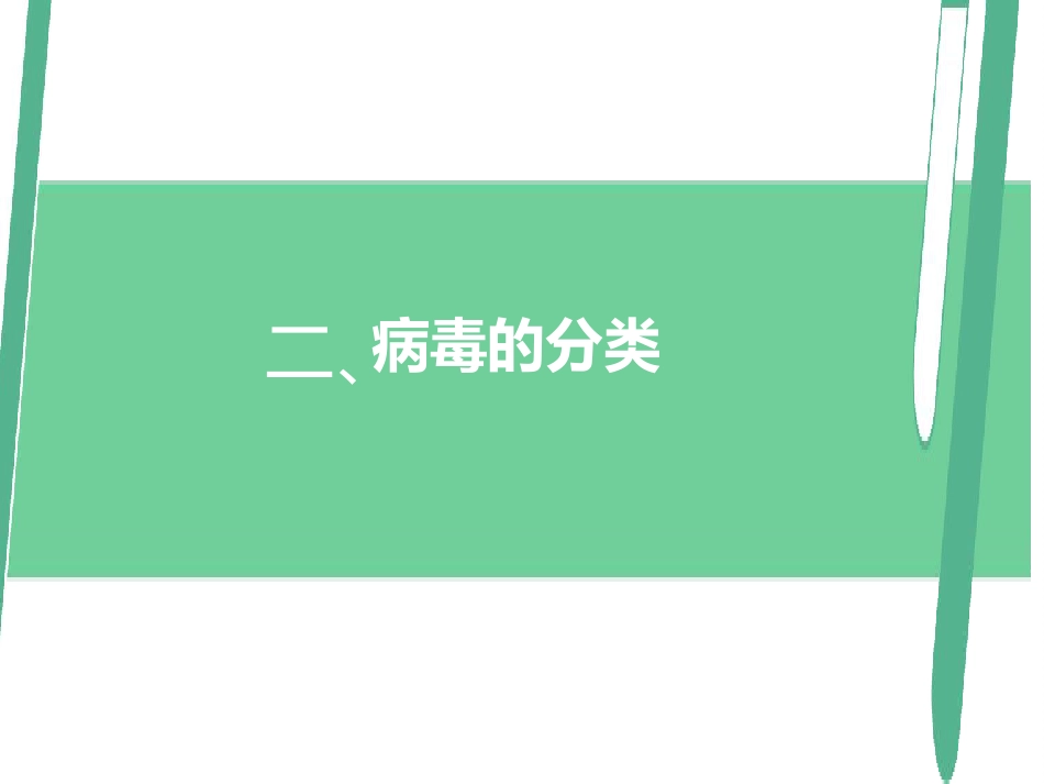 病毒性皮肤病(3)_第12页