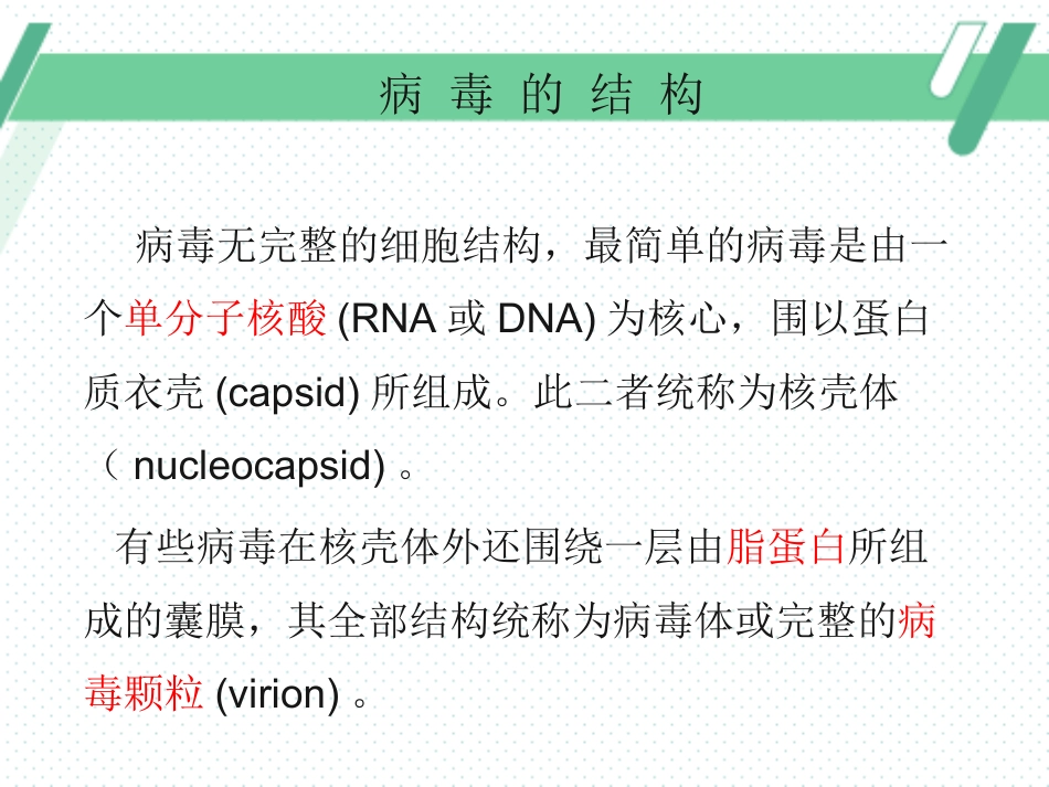 病毒性皮肤病(3)_第5页