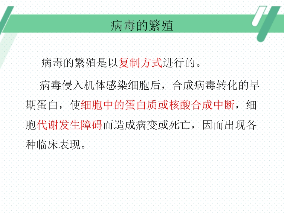 病毒性皮肤病(3)_第6页