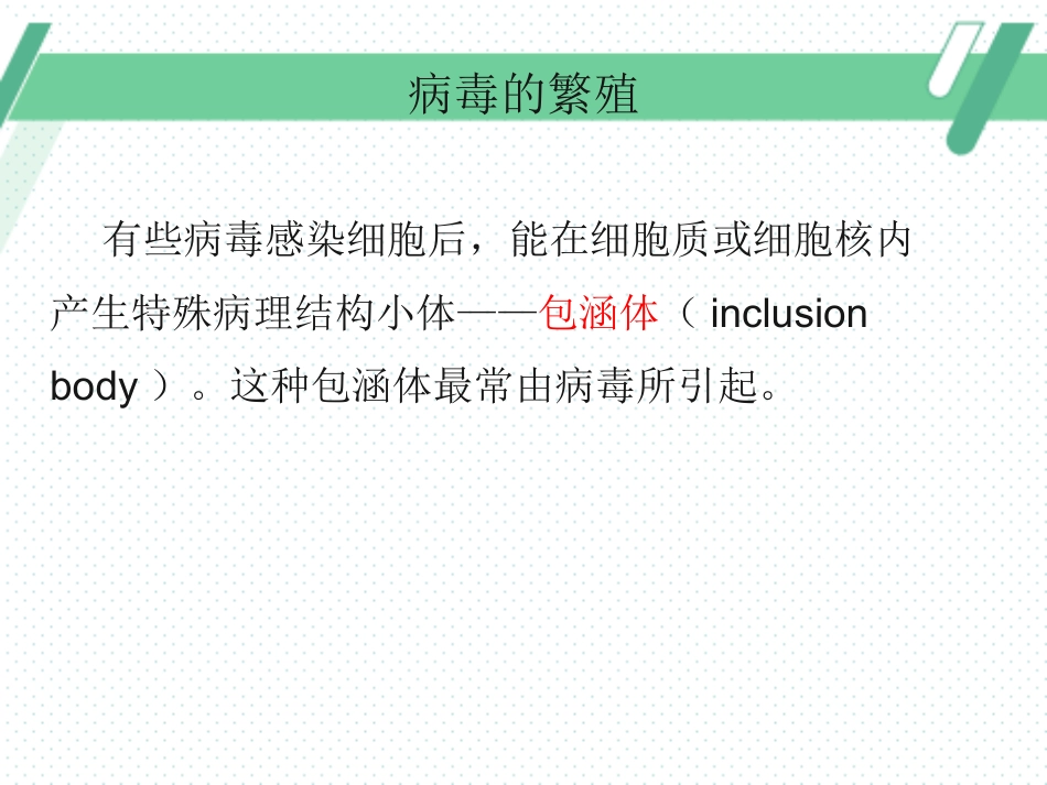 病毒性皮肤病(3)_第7页