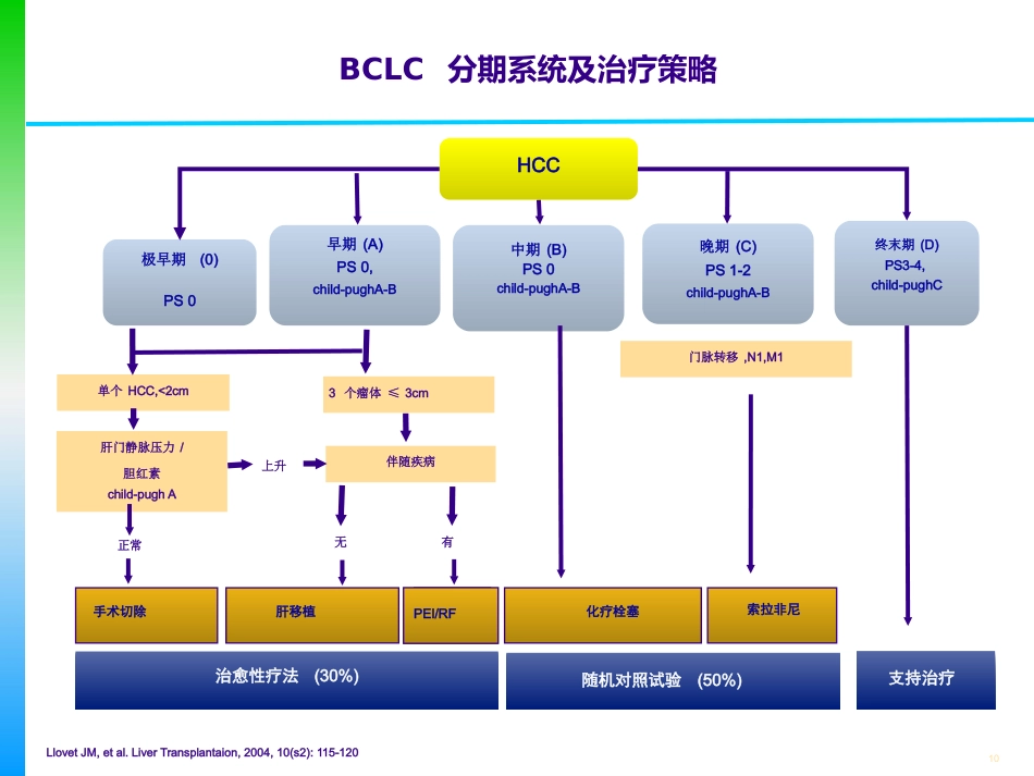 肝癌的分期及治疗策略_第10页