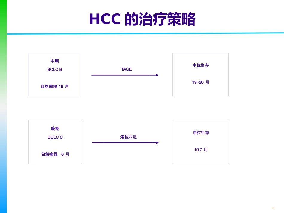 肝癌的分期及治疗策略_第12页