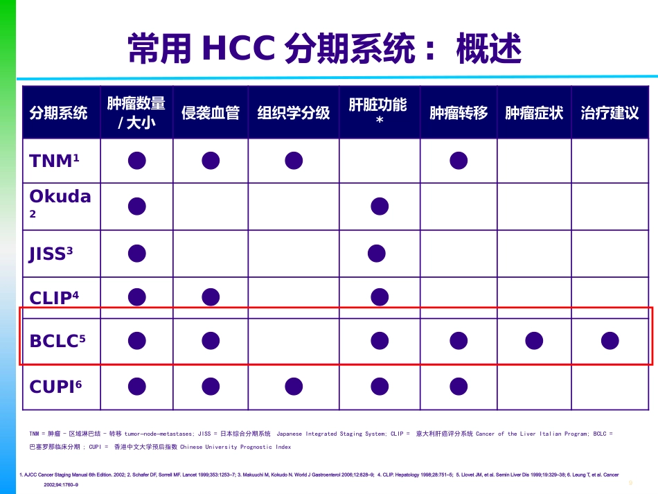 肝癌的分期及治疗策略_第9页