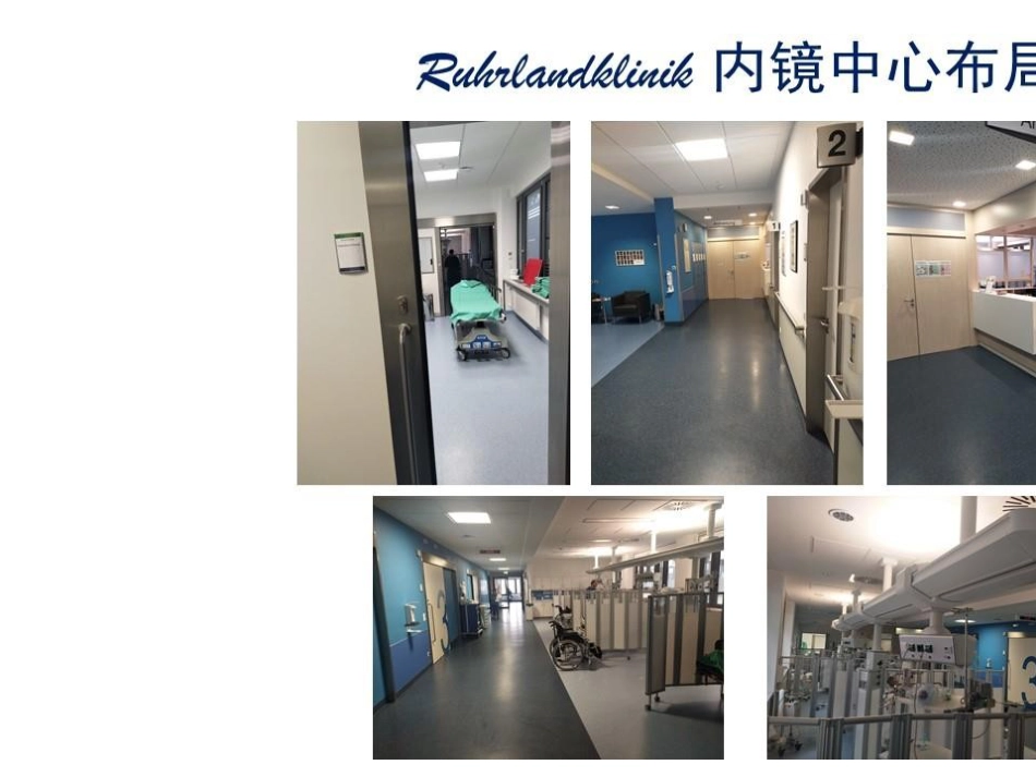 标准化介入呼吸病中心建设_第9页