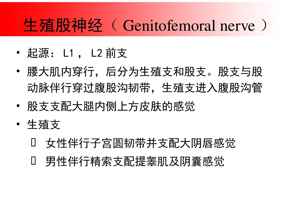 超声引导下盆腔疼痛的介入治疗_第11页
