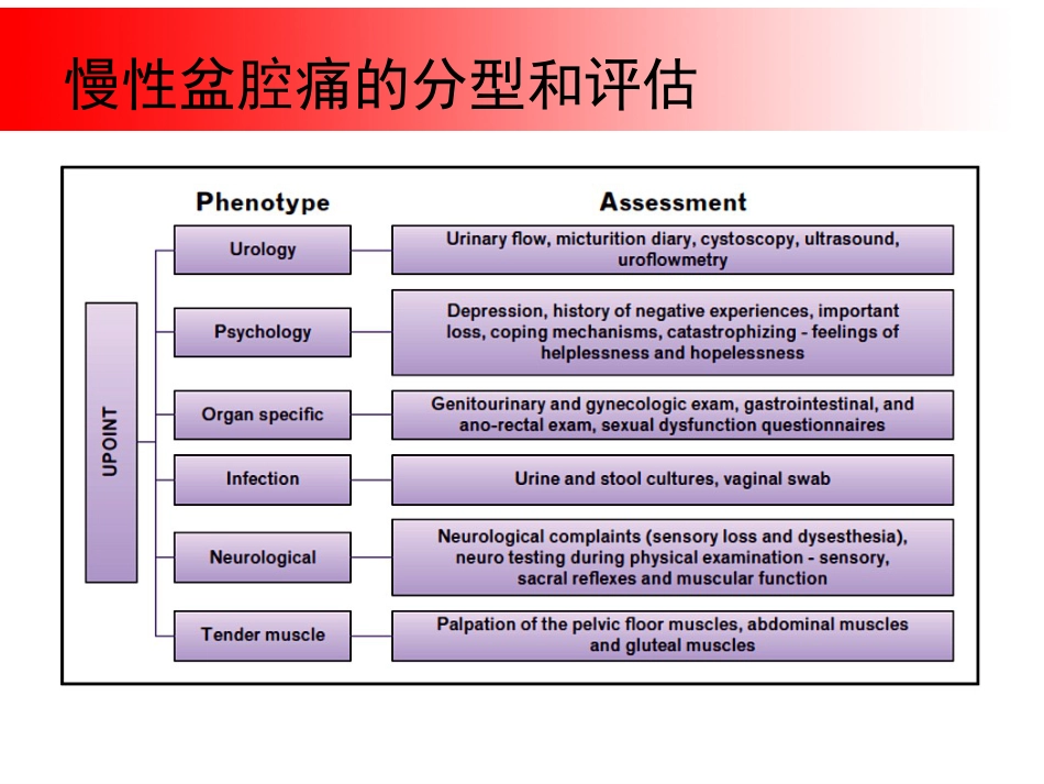 超声引导下盆腔疼痛的介入治疗_第4页