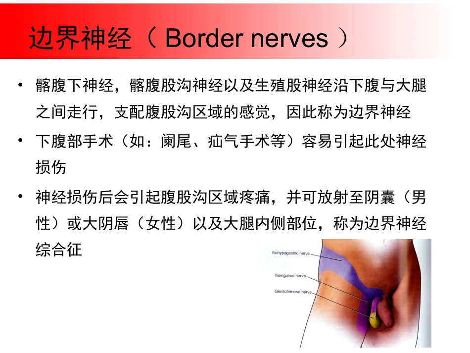 超声引导下盆腔疼痛的介入治疗_第7页