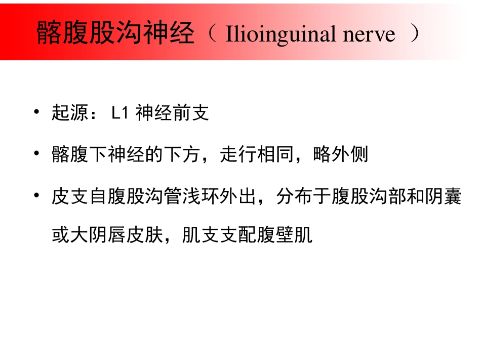 超声引导下盆腔疼痛的介入治疗_第9页