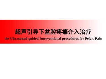 超声引导下盆腔疼痛的介入治疗