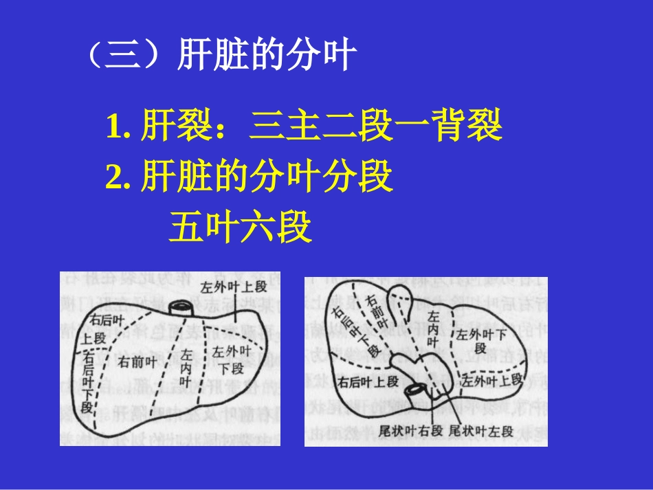 肝癌的外科治疗ppt课件_第5页