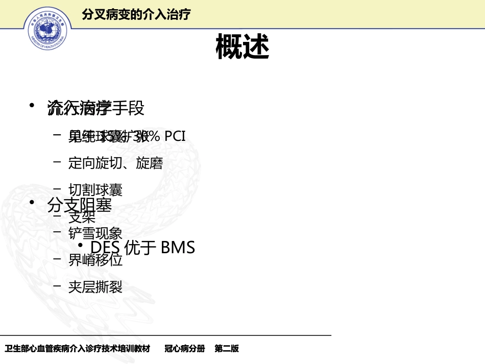 分叉病变的介入治疗_第5页
