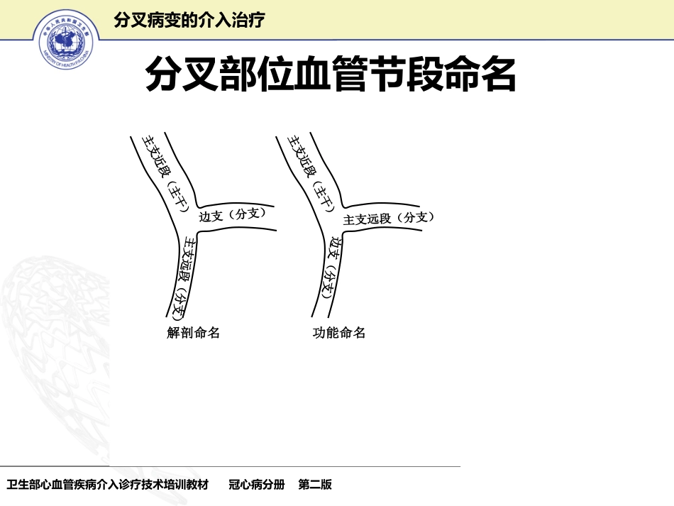 分叉病变的介入治疗_第6页