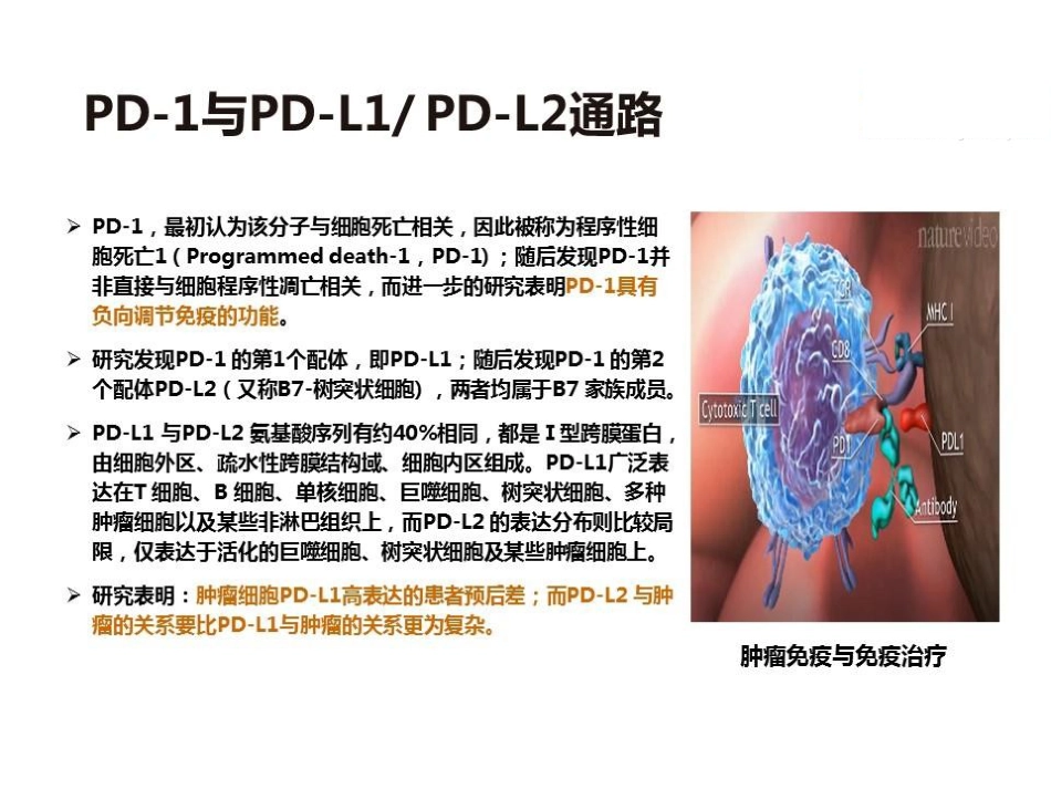 肝癌免疫治疗的机遇和挑战_第10页