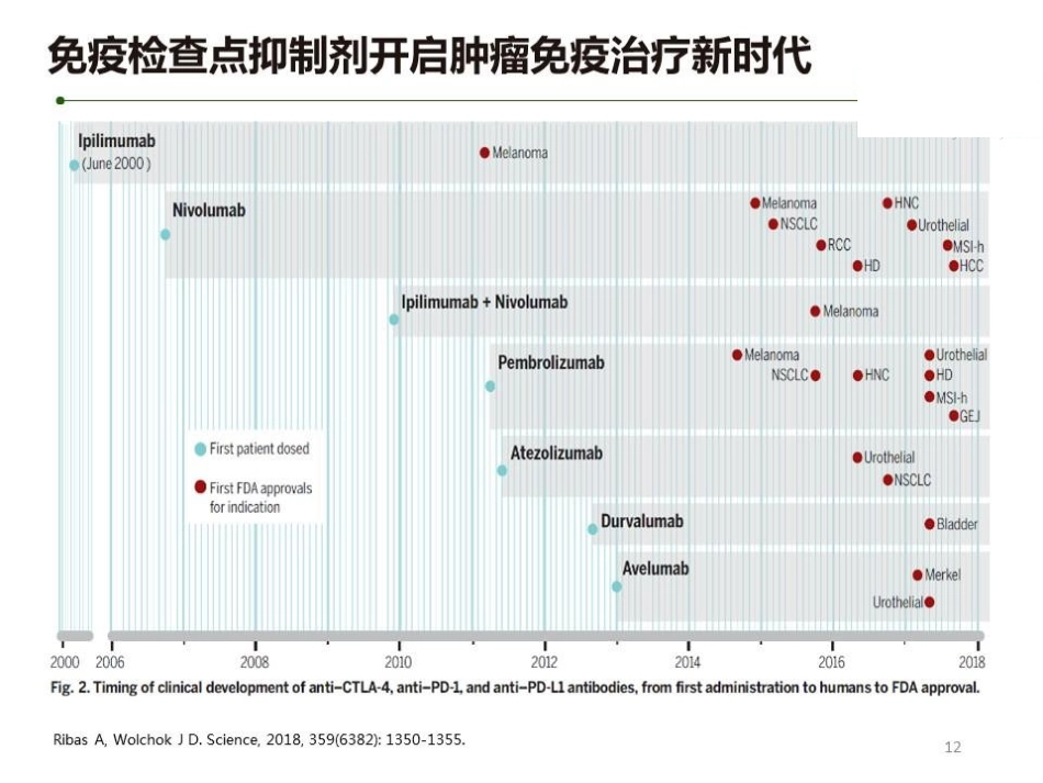 肝癌免疫治疗的机遇和挑战_第12页