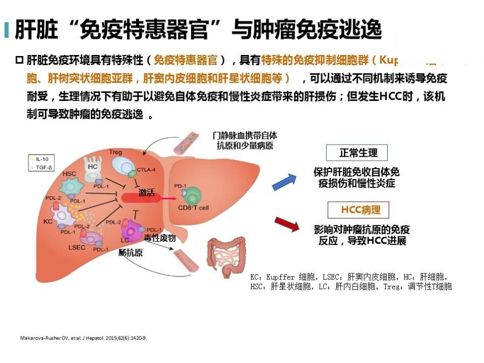 肝癌免疫治疗的机遇和挑战_第14页