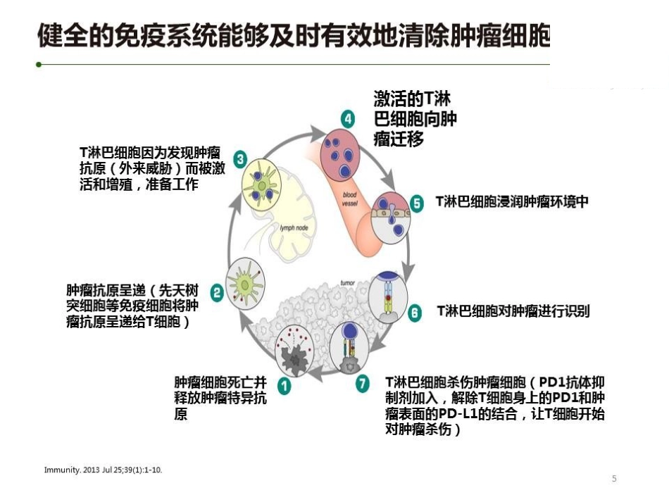 肝癌免疫治疗的机遇和挑战_第5页