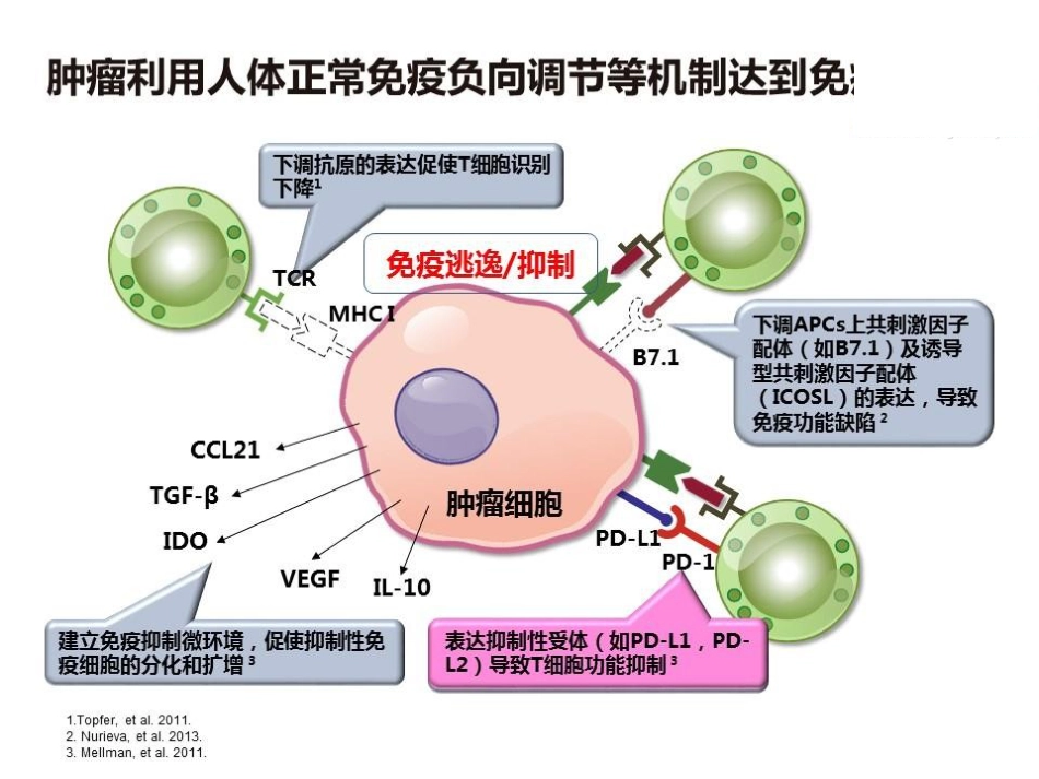 肝癌免疫治疗的机遇和挑战_第6页
