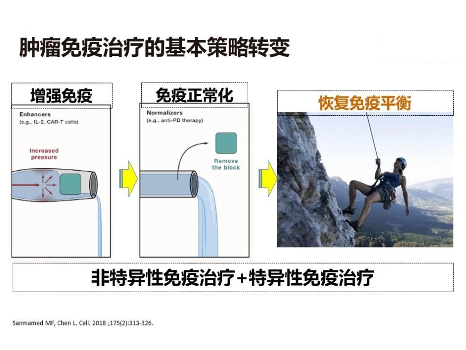 肝癌免疫治疗的机遇和挑战_第7页