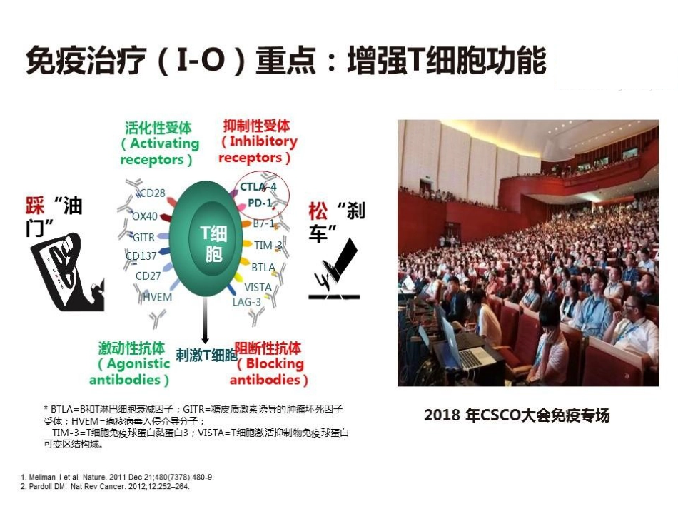 肝癌免疫治疗的机遇和挑战_第9页
