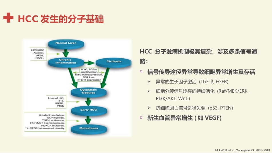肝癌分子靶向治疗的基础和临床应用进展_第11页