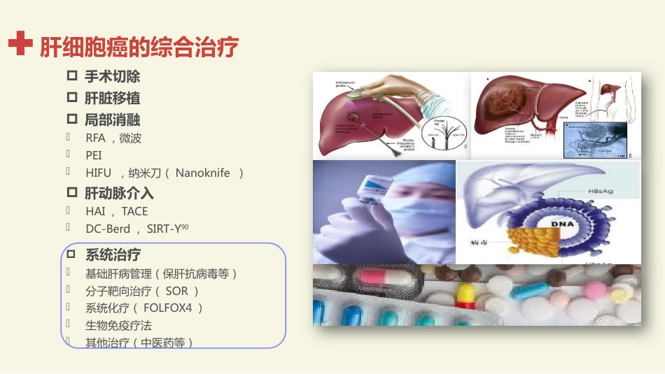 肝癌分子靶向治疗的基础和临床应用进展_第6页