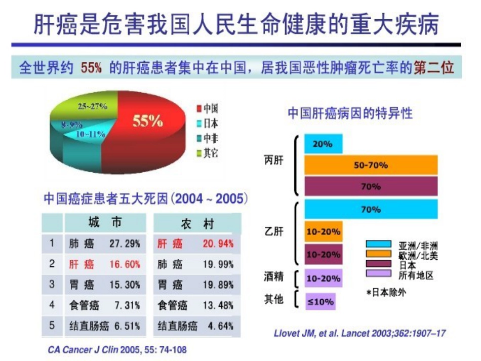 肝癌的早期诊断_第2页