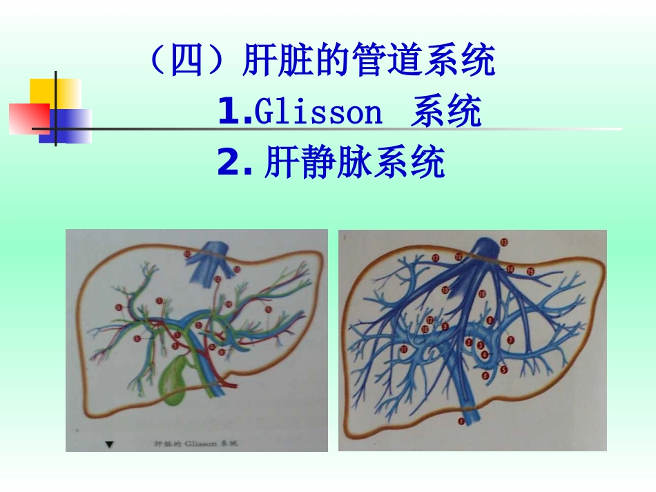 肝癌的早期防治_第10页