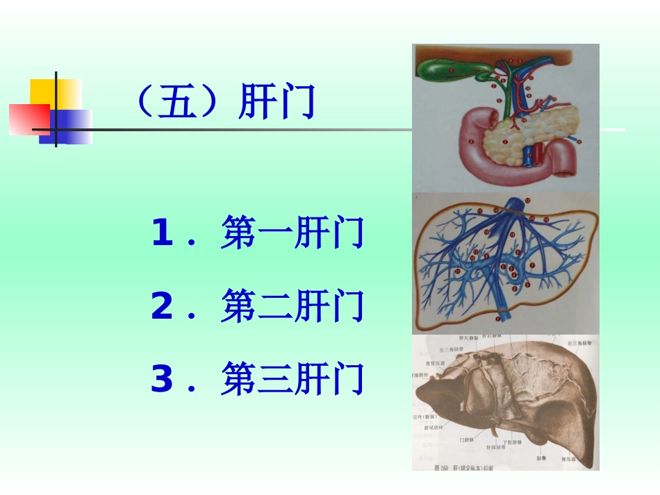 肝癌的早期防治_第11页