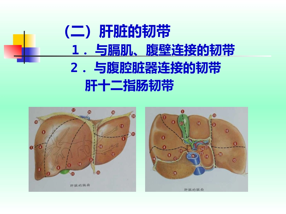 肝癌的早期防治_第7页