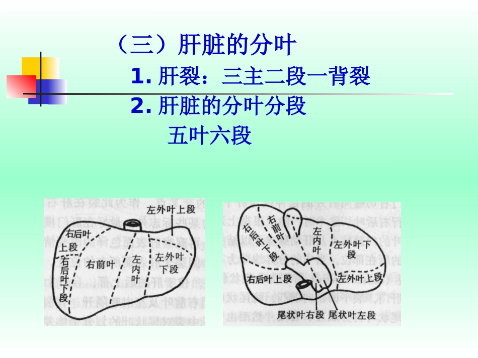 肝癌的早期防治_第8页