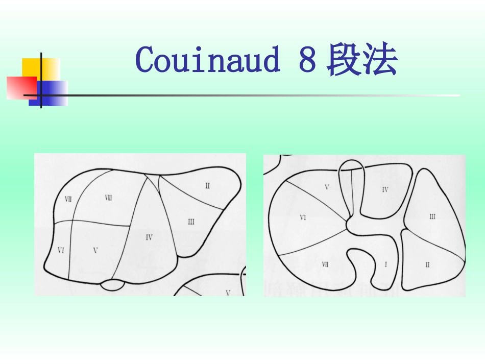 肝癌的早期防治_第9页