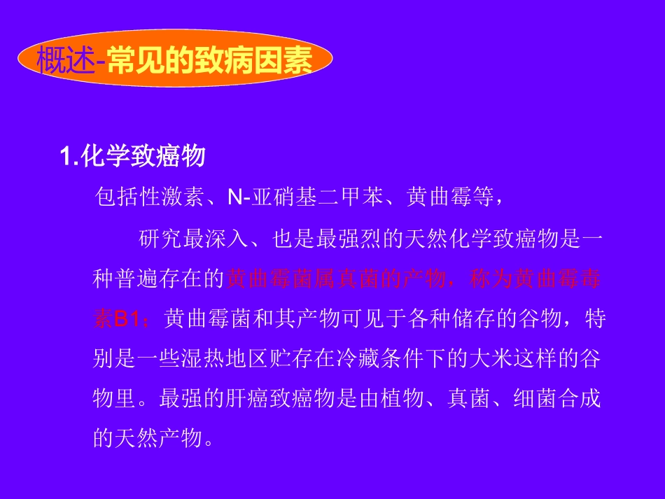 肝癌的诊断与治疗_第5页