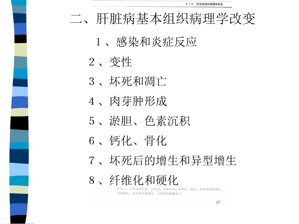 肝癌与肝炎关系_第10页